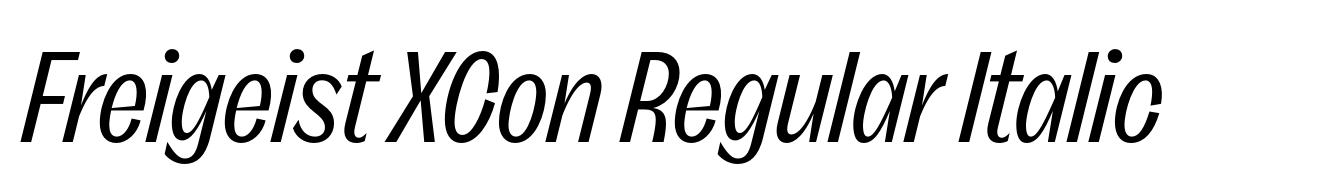 Freigeist XCon Regular Italic